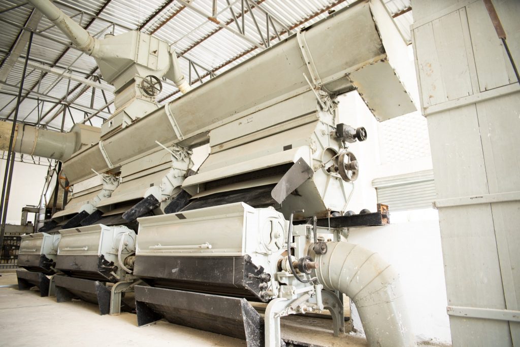 Usina de beneficiamento de algodão orgânico da Paraíba em Ingá