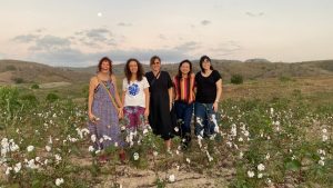 Abrimos convida jornalistas para o Dia da Colheita em Ingá-PB